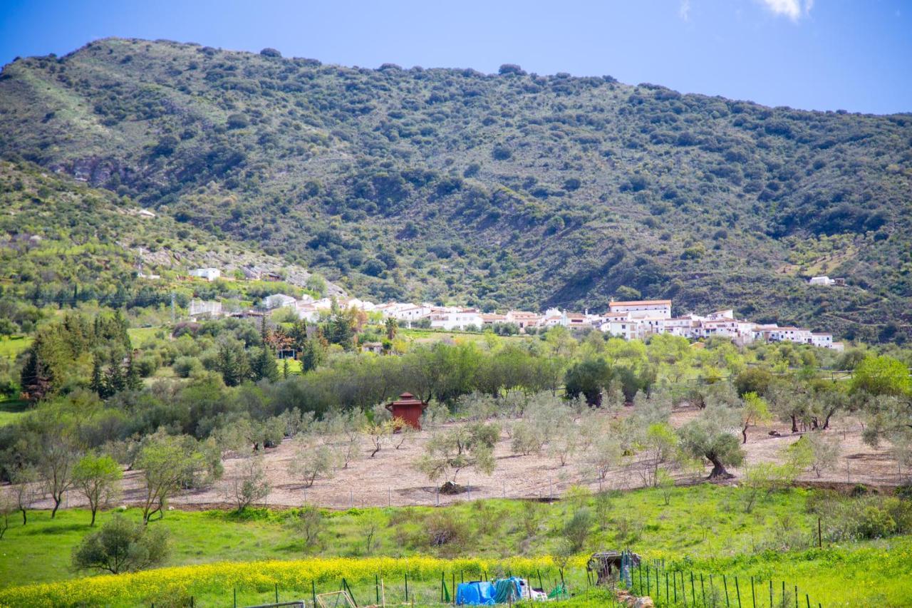 Jimera de Líbar Hotel Rural Inz-Almaraz מראה חיצוני תמונה